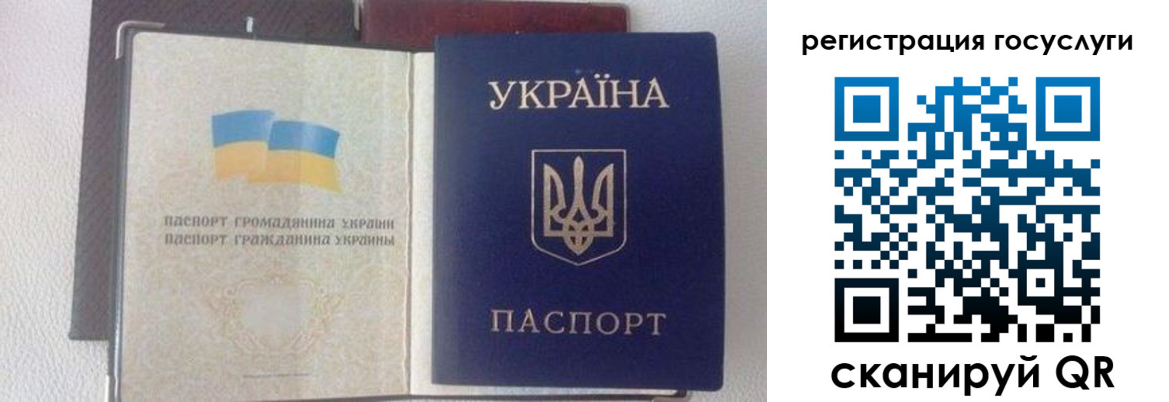 прописка для работы в Курской области